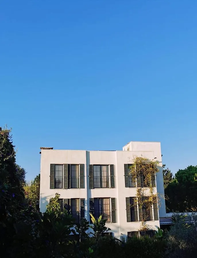 Otel Savra Bodrum Bitez